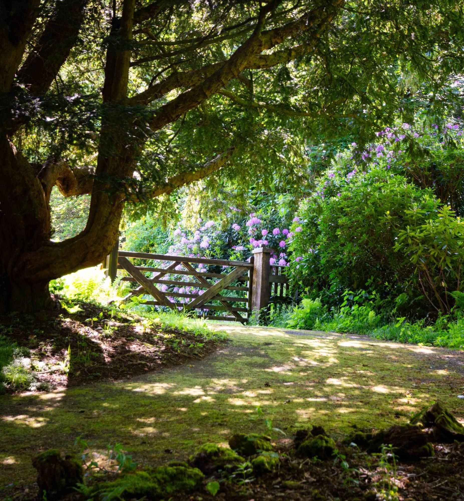 לנקסטר Gardener'S Cottage מראה חיצוני תמונה